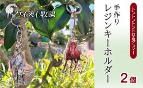 馬 たてがみ 尻尾 手作り レジン キーホルダー ２個(トントントントロ＆グラマー) オリジナル [№5735-1919]
