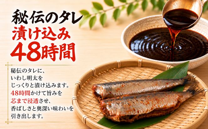 【北海道産】 いわし明太 6尾(2尾入×3袋) マイワシ 小分け ご飯のお供