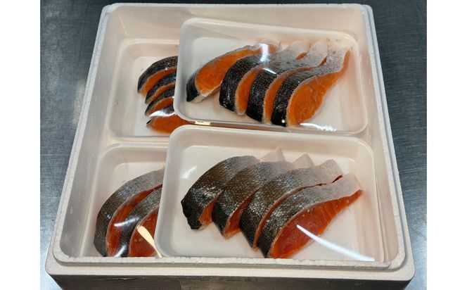 紅鮭＆銀鮭 食べ比べセット（各8切れ・総量約1.3kg） 222232_DM001