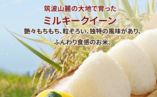 【先行予約】【定期便 3ヶ月】令和8年産 茨城県産 ミルキークイーン 精米20kg（5kg×4袋） ※2026年11月～発送
