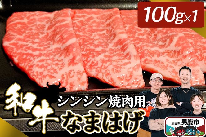 和牛なまはげ シンシン焼肉用 100g 大進農場|23_dsf-080101