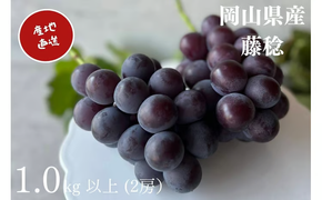 【2026年先行予約】 厳選 岡山県産 藤稔 1.0㎏以上（2房） 産地直送 朝採れ ぶどう 葡萄 先行予約 フルーツ 果物 真庭市 フルーツ王国 珍しい 甘い【kgftmt007-02】