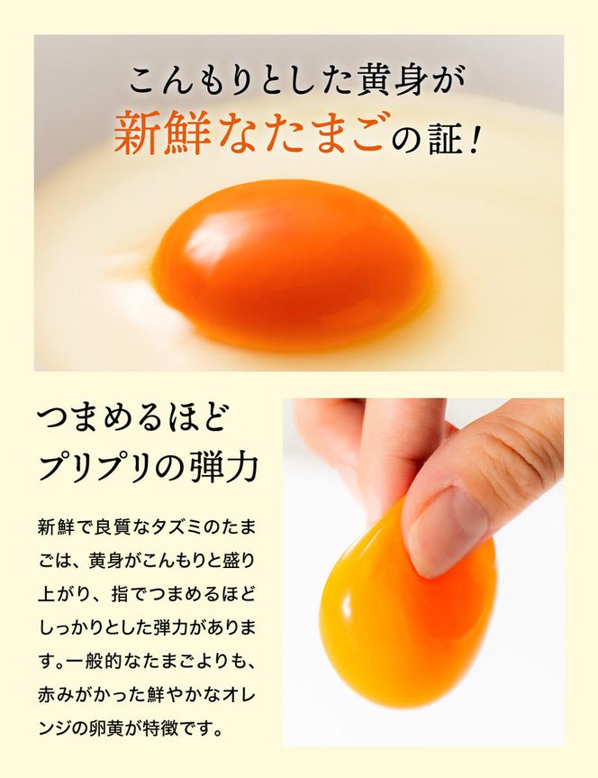 【新開発！】オリーブオイルを使ったタズミのマヨネーズ 5本　007AB01N.／タズミの卵 タズミ 卵 たまご マヨネーズ 大容量 栄養満点 調味料 お料理 安心 安全 健康 玉子 サラダ ディップ ポテトサラダ 常温保存