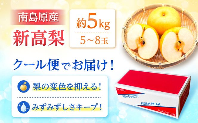 【9〜10月発送】【梨の王様】こだわり 新高梨 約5kg /  梨 ナシ フルーツ 果物 旬 先行予約 産地直送 家庭用 国産 / 南島原市 / 株式会社マルハチ[SFG002]