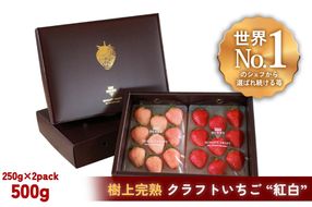 【完熟クラフト苺BERRY】有名シェフ御用達【樹上完熟樹 紅白いちごセット】約500g（出荷2025年12月上旬～2026年5月下旬） yuji0010