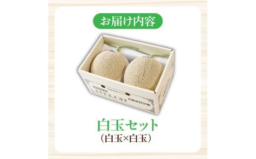 【先行予約】高級土佐アールスメロン2玉入り 〈2027年4月から配送開始〉メロン めろん 白玉セット 白玉×白玉 3kg以上 舐瓜 果物 くだもの フルーツ デザート スイーツ おやつ 高級 常温 配送【有限会社サクセス】 [BQBA003]