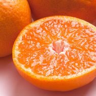 極プレミアム有田みかん 約5kg 定期便 全3回 10月・11月・12月発送  	CZ173