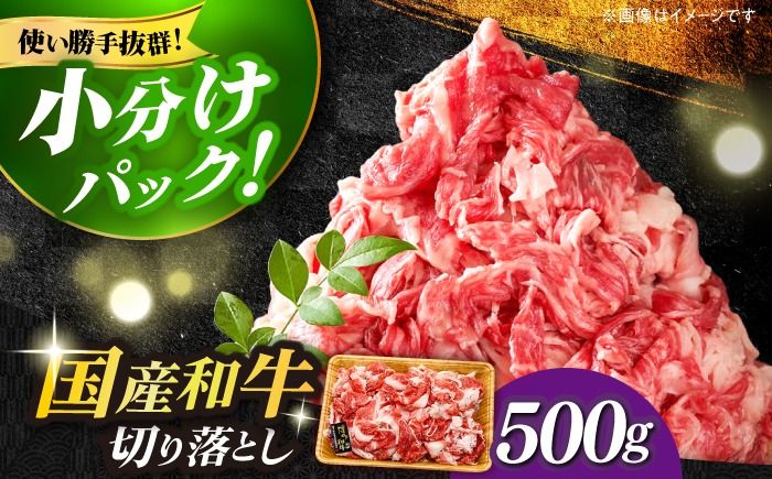 [和牛の旨味を堪能!]博多和牛 切り落とし 500g[築上町][株式会社MEAT PLUS] [ABBP004]