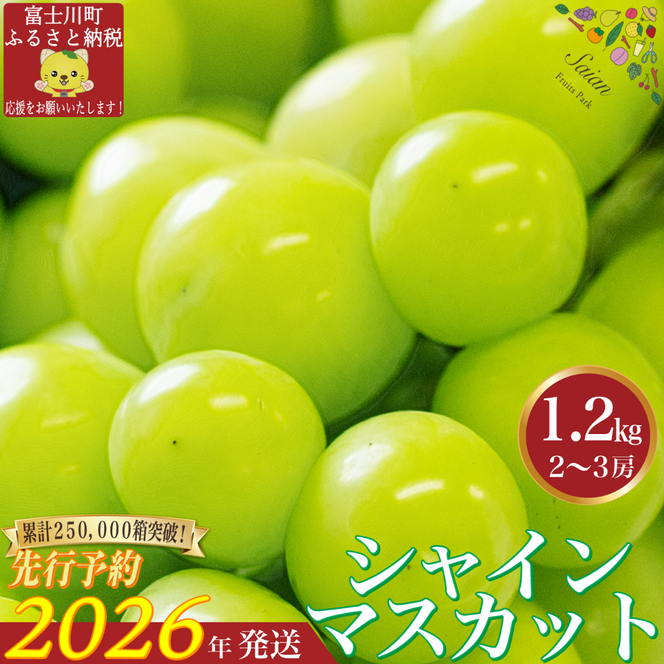 yRxm쒬zy2026N s\z VC}XJbg1.2kgi2`3[j 8{ȍ~\ t[c RY ʕ VC }XJbg Ԃǂ uhE 嗱 Ȃ Yn  xm쒬 s\iA5302j