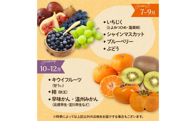 何が届くかお楽しみ！むなかた旬のフルーツ福袋セット【JAほたるの里】_HA1541