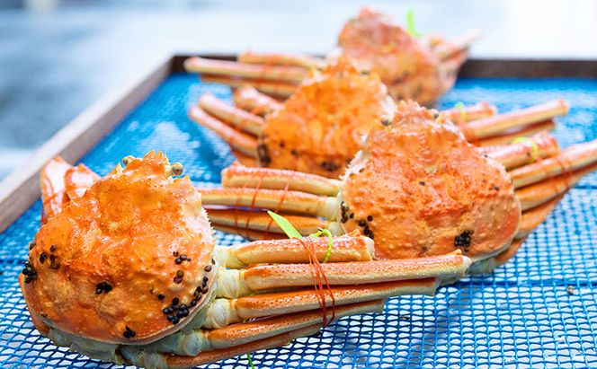 【配送日指定可】【数量限定】夫婦蟹 甲羅盛セット 松葉蟹 ほぐし身（特々特大）※活き蟹（1,200g級）とコッペがに（中サイズ3個）