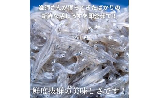 篠島の高級釜揚げしらす干し700g(70g×10袋小分けパック)CAS冷凍・無添加　海鮮丼、離乳食に