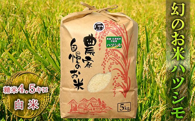 幻のお米ハツシモ 4.5kg 精米 白米 農薬 化学肥料不使用 甘み 型くずれしにくい 冷めてもおいしい お弁当 おにぎり 