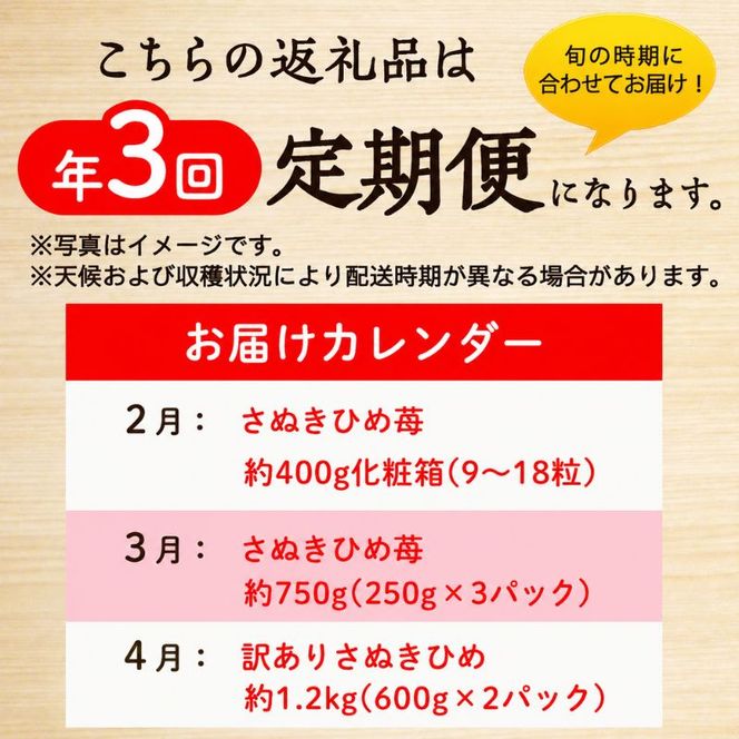 讃岐のいちご定期便（全3回）【さぬきひめ】