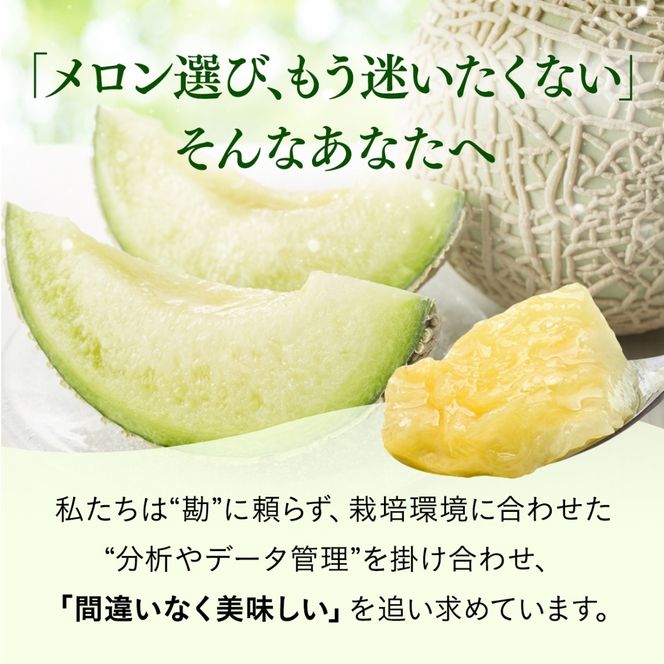 【2026年先行予約】 岡山メロン アールスメロン1玉（1.5kg以上） ※7月末より順次発送 岡山県 真庭市 フルーツ 果物 高級 ギフト 贈答 ご家庭用 【mnem001-01】
