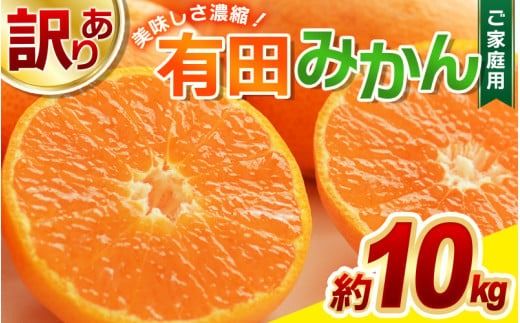 ＼光センサー選別／訳あり 有田みかん 約10kg 【ご家庭用】 和歌山県 温州みかん 先行予約【11月中旬から1月中旬までに順次発送予定 　（お届け日指定不可）】 / 訳あり みかん 家庭用 ご家庭用 先行予約【nuk138H】