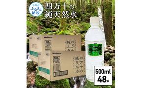 【CF-R7hbk】SKS062 四万十の純天然水 500ml×48本 合計2ケース 水 天然水 ナチュラルミネラルウォーター モンドセレクション金賞受賞 健康 お水 飲みやすい ご家庭用 ご自宅用 防災 まとめ買い