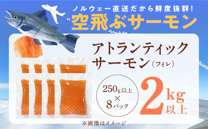 y{򍲖sz099H3607 AgeBbNT[  2kgȏytB GRpbN 󂠂 TCYs hg [ Ⓚ k̑蕨z