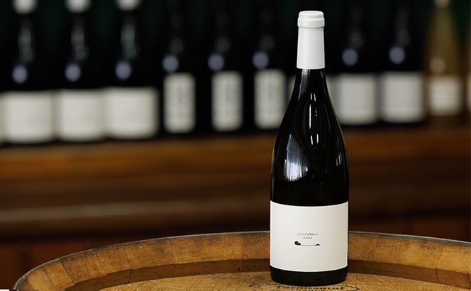 テールドシエル ワイン 2022シェルブラン 白ワイン お酒 酒 アルコール 長野県 小諸市 小諸 ギフト プレゼント