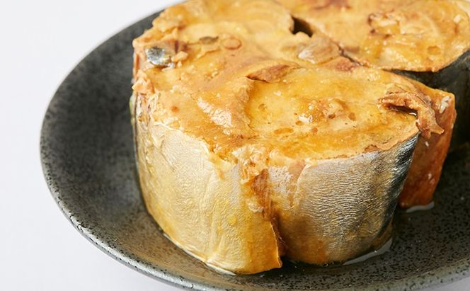 若狭の鯖缶 6缶 セット 詰め合わせ しょうゆ仕立て サバ缶 鯖缶 さば缶 さばの缶詰 鯖の缶詰 サバ 鯖 さば 缶詰 缶詰め 魚 お魚 魚介 魚介類 惣菜 水産加工 加工品 福井 福井県 若狭町