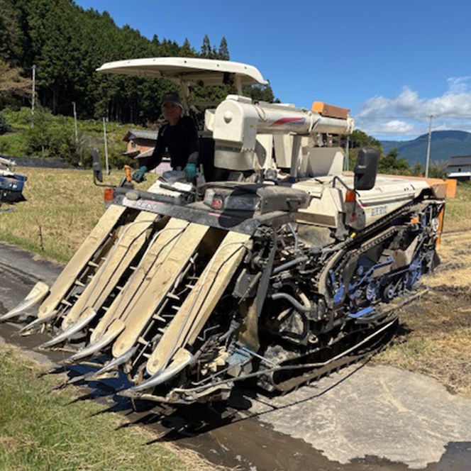 【6回定期便】岐阜県産 棚田米 1等米コシヒカリ はちたか米 精米5kg F4N-2580