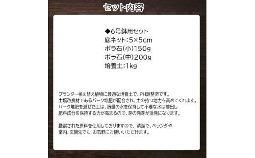 E105 培養土　【植え替え土セット】　観葉植物の土　6号