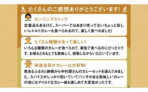 【 定期便 全3回 隔月 お届け 】 新宿 中村屋 レトルト 食べ比べ セット ( Aセット 12種 ) 人気 詰合せ 洋食 時短 カレー インドカレー ビーフカレー 欧風カレー 数量限定 贈答品 保存用 ストック用 非常用 老舗 電子レンジ 調理可 [DM004us] レンチン レンジ 