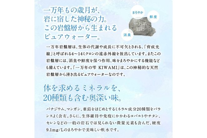 ミネラルウォーター 極み (計12L・500ml×24本) プレミアムウォーター 国産 お水 ミネラル 軟水 天然 料理 健康 維持 ピュアウォーター 大分県 佐伯市 防災 常温 常温保存【HD254】【さいき本舗 城下堂】