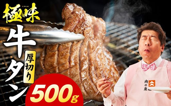 mrz0282 厚切り牛たん 500g【氷温熟成×旨塩ダレ 味付き 訳あり サイズ不揃い 500g 小分け 焼くだけ 焼肉】