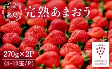 【予約：2025年1月上旬より順次発送】完熟あまおう 270g × 2パック 糸島市 / slowberry strawberry [APJ002] 苺 あまおう イチゴ