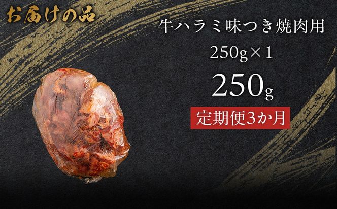 【3か月定期便】牛ハラミ味つき焼肉用 250g (250g×1)  MROBM036