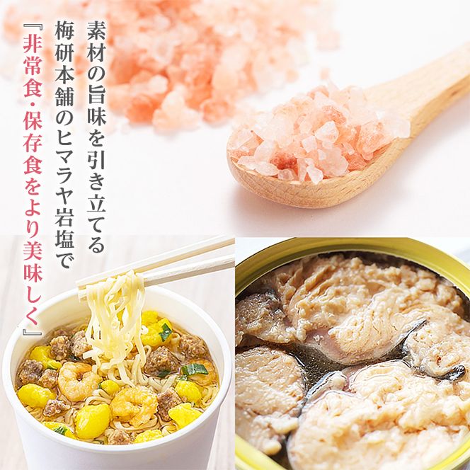 災害用 食塩 ピンク岩塩(小粒×3袋・100g/袋)  ヒマラヤ岩塩 ピンク岩塩 岩塩 塩 食塩 調味料 ミネラル 熱中症対策 災害用 防災グッズ 災害対策 備蓄 【梅研本舗ジャパン】akn047-07