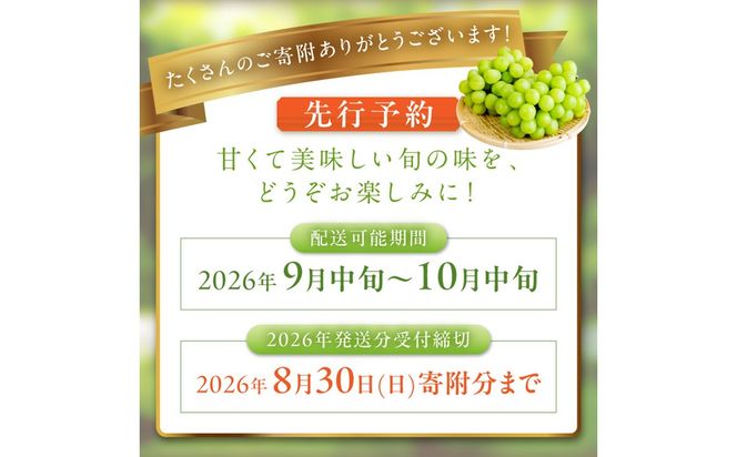 【先行予約】樹上完熟 シャインマスカット 1.2kg（2～3房）（2026年9月中旬～発送） ふるさと納税 シャインマスカット しゃいんますかっと 葡萄 ブドウ ふるーつ 甘い あまい ギフト お取り寄せ　BF00016