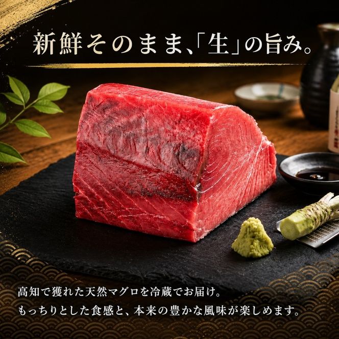 【冷蔵】 マグロ 天然マグロ 本まぐろ ブロック 400g ～ 500g まぐろ マグロ刺身 厳選 本マグロ マグロ たたき マグロ丼 鮪 マグロ漬け丼の具 冷蔵 新鮮 鮪 国産 マグロ ネギトロ丼 高知県産 マグロ まぐろ ブロック 赤身 天然 スライス刺し身 さしみ ユッケ 魚介 魚 海鮮 海鮮丼 おかず 惣菜 お取り寄せ ギフト プレゼント 父の日 高知県 おいしい 簡単 時短 海の幸 生鮮