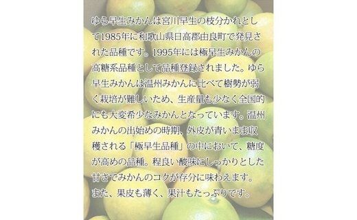 G7097_紀州和歌山有田産 ゆら早生みかん 5kg【ミカン 蜜柑 柑橘 温州みかん わせみかん】