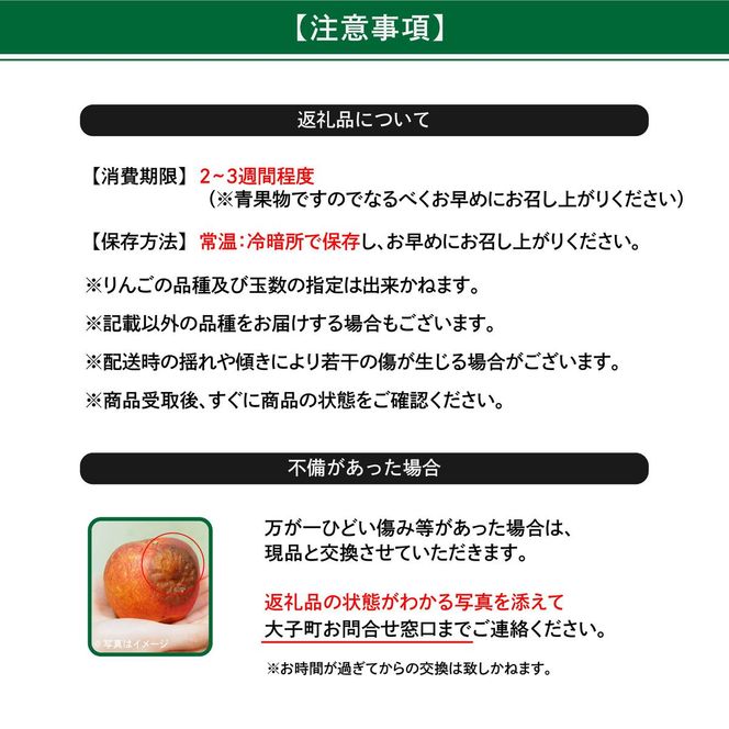 【先行予約】樹上完熟の奥久慈りんご詰め合わせ　園主おまかせ約3kg（6～14玉）【2026年9月下旬頃順次発送開始予定】斉藤りんご園第2直売所｜茨城県 大子町 林檎 果物 フルーツ 旬（CG001）