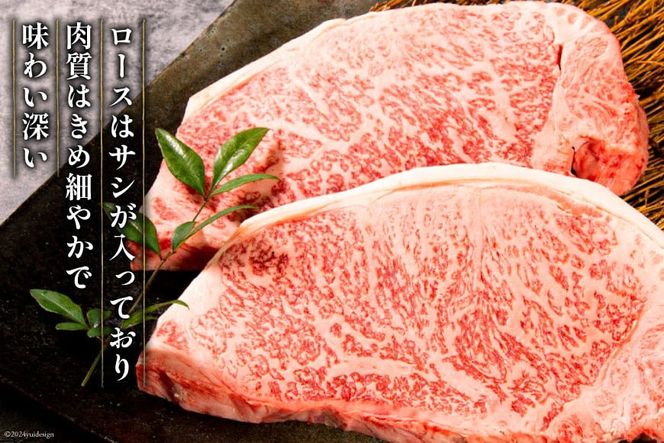 【最上等級使用！】 牛肉 宮崎牛 ロース ステーキ 250g × 5枚 計1.25kg [ミヤチク 宮崎県 日向市 452061579] 小分け 個包装 和牛 黒毛和牛 ブランド牛 冷凍 4等級 5等級