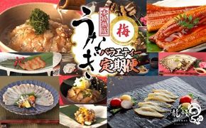 うなぎの概念が変わる!!【本格熟成】龍鰻バラエティー定期便《梅》 464686_BV007