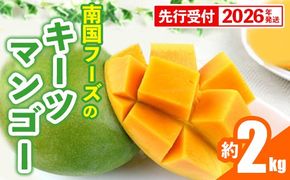 【先行受付】【2026年発送】南国フーズのキーツマンゴー 約2kg - 先行予約 沖縄 産地直送 南国フルーツ 旬の味覚 沖縄県産 国産マンゴー 希少種 オススメ 沖縄県 八重瀬町
