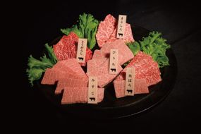 神戸牛希少部位焼肉セット(5種）まるしん ひうち とうがらし みすじ 三角ばら 80g×5パック [肉 牛肉 神戸牛 最高級肉 神戸ビーフ 神戸肉 但馬牛 希少部位  食べ比べ 焼肉 お取り寄せ 加東市 兵庫県]