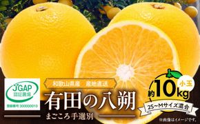 【2027年先行予約】和歌山県産 有田の 八朔 (はっさく) 約10kg 小玉 【2S～Mサイズ混合】まごころ手選別 _ZE6154n