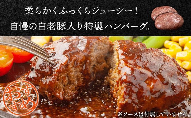 北海道産 白老豚 ハンバーグ 120ｇ×10個セット BV083