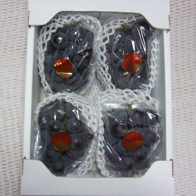 ぶどう 先行予約 訳あり ピオーネ 約2kg(3～5房) ブドウ 葡萄 岡山県産 国産 フルーツ 果物