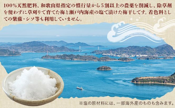 昔ながらの梅干し 訳あり つぶれ梅 約1kg 500g 2パック 農業法人 株式会社紀州梅香《30日以内に出荷予定(土日祝除く)》 和歌山県 日高川町 梅 うめ フルーツ 果物---wshg_kbk5_30d_26_12000_1kg---