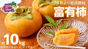 富有柿 約10kg 【2026年10月より発送開始】 （茨城県共通返礼品 [柿]：大子町産） かき 旬 お取り寄せ フルーツ 甘い 秋の味覚 [FC11-NT]