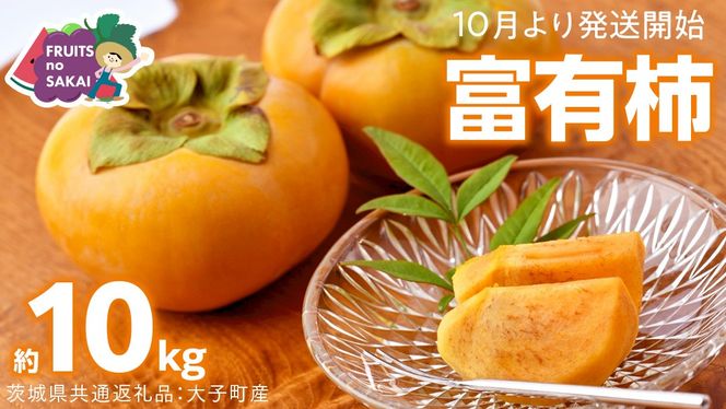 富有柿 約10kg 【2026年10月より発送開始】 （茨城県共通返礼品 [柿]：大子町産） かき 旬 お取り寄せ フルーツ 甘い 秋の味覚 [FC11-NT]