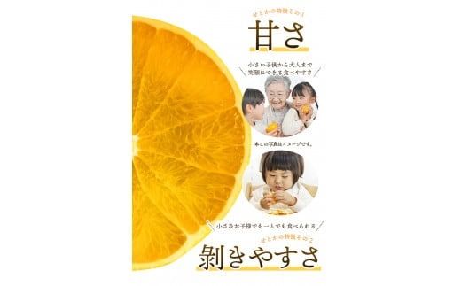 訳あり せとか 約3.5kg＋200g (傷み補償分)  大小混合 【2027年2月下旬から順次発送】 ご家庭用 家庭用 わけあり 訳アリ  みかん ミカン フルーツ 果物 くだもの 柑橘 せとか 蜜柑 人気 予約 先行予約 数量限定【njb682B】