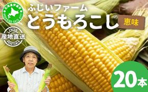 ＜先行予約＞北海道産 とうもろこし 恵味 Lサイズ 20本 | トウモロコシ とうきび コーン スイートコーン 国産 野菜 人気 ふじいファーム