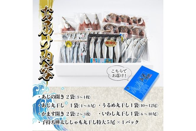 干物三昧セット (合計35尾以上・6種) 干物 あじ アジ 鯵 かます カマス ししゃも シシャモ うるめいわし いわし 丸干し 開き 魚 海鮮 冷凍 詰め合わせ セット 大分県 佐伯市【AP80】【 (株)ヤマジン】