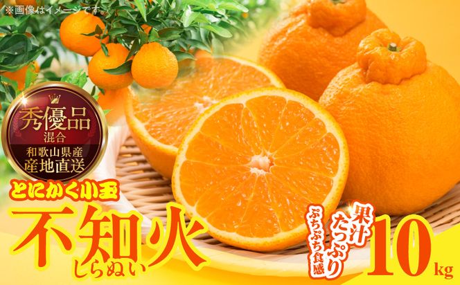 MK1015_不知火 (しらぬい) とにかく小玉 箱込 10kg (内容量約9.2kg) 秀品 優品 混合
